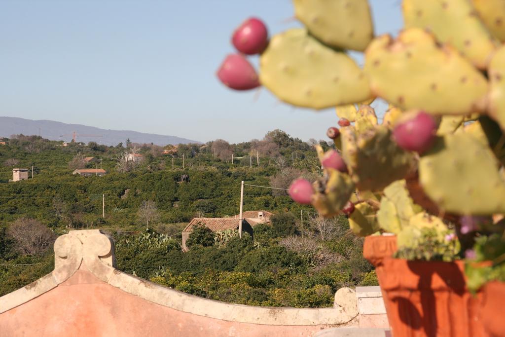 Villa Dei Leoni Santa Tecla Exterior photo